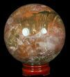 Colorful Petrified Wood Sphere #49740-2